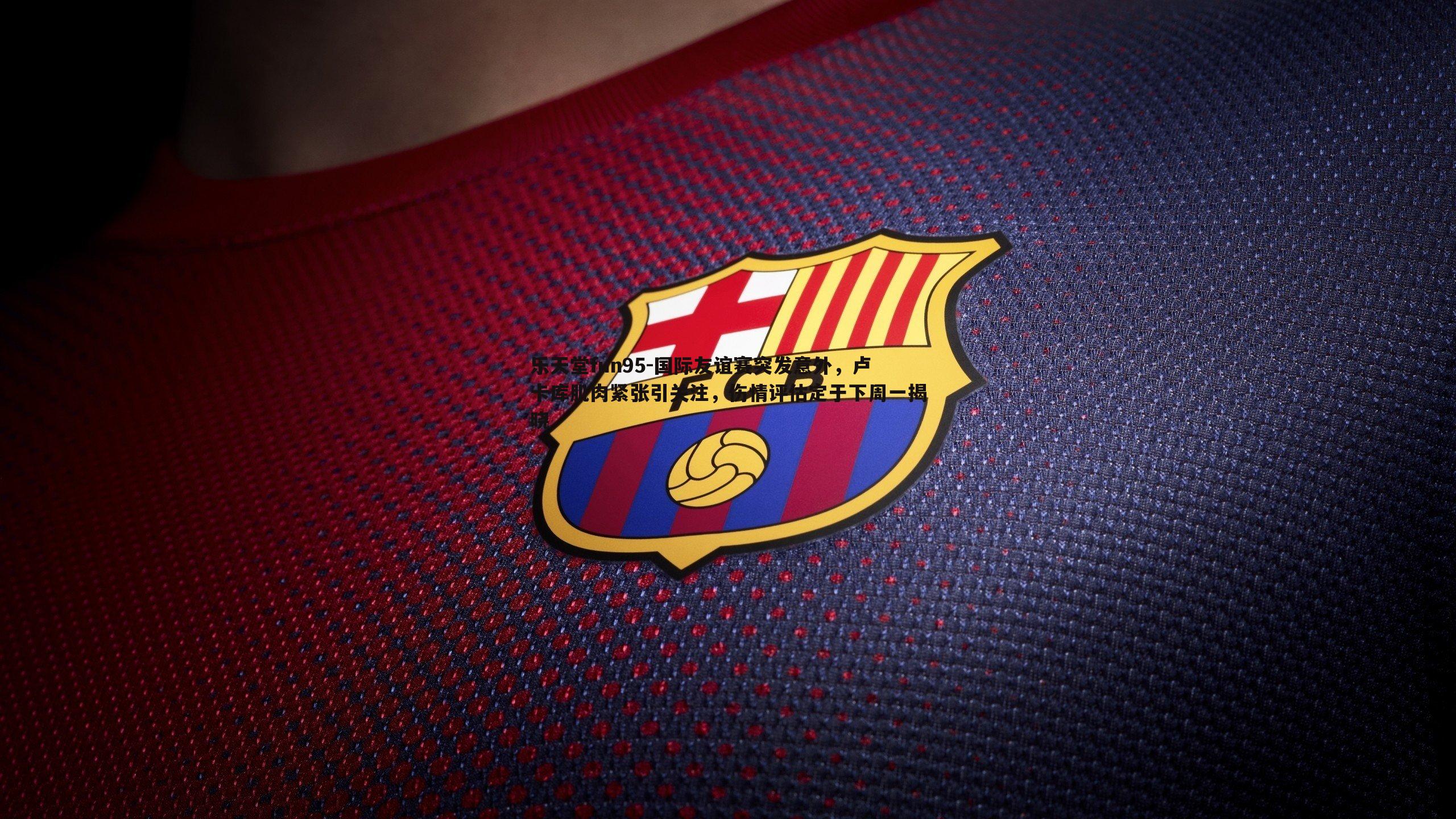 国际友谊赛突发意外，卢卡库肌肉紧张引关注，伤情评估定于下周一揭晓